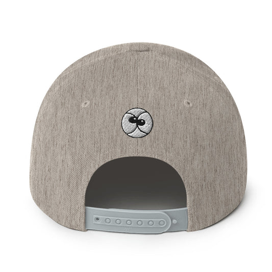 Zoo&co branded Snapback Hat. Heather grey. Back view