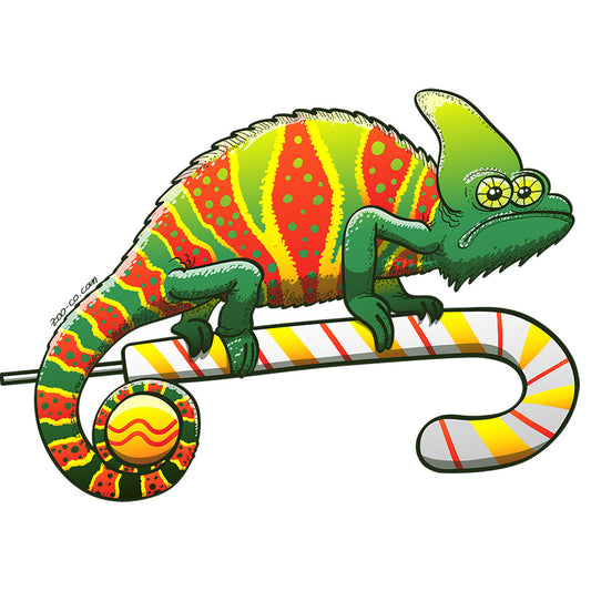 Christmas chameleon ready for the big season