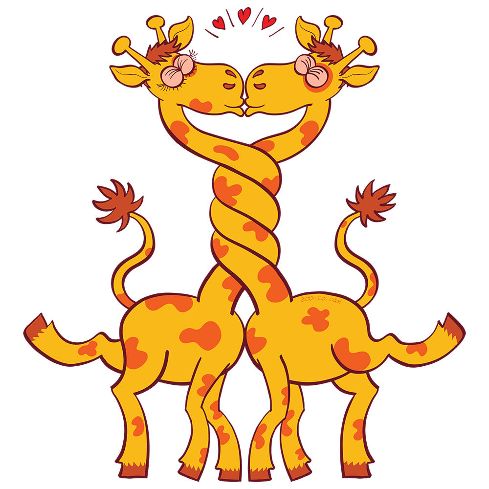 Sweet giraffes in love intertwining necks and kissing