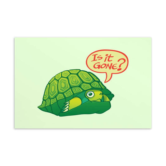 Turtle asking if it's OK to go out of its shell Standard Postcard-Standard postcards